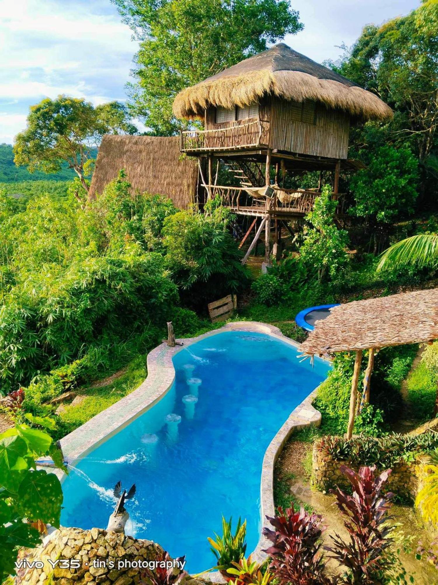 Sanctuaria Treehouses 布桑加 外观 照片