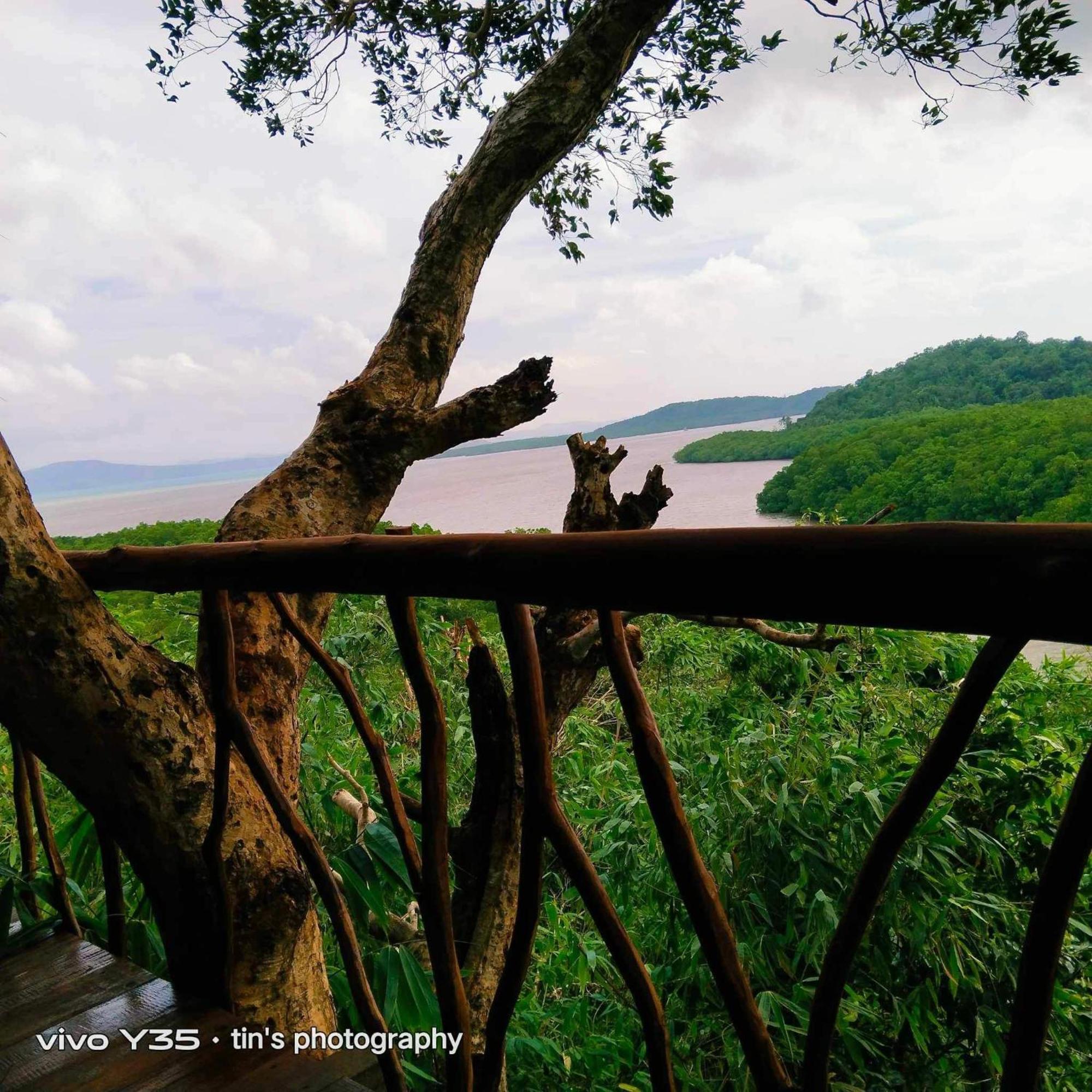 Sanctuaria Treehouses 布桑加 外观 照片