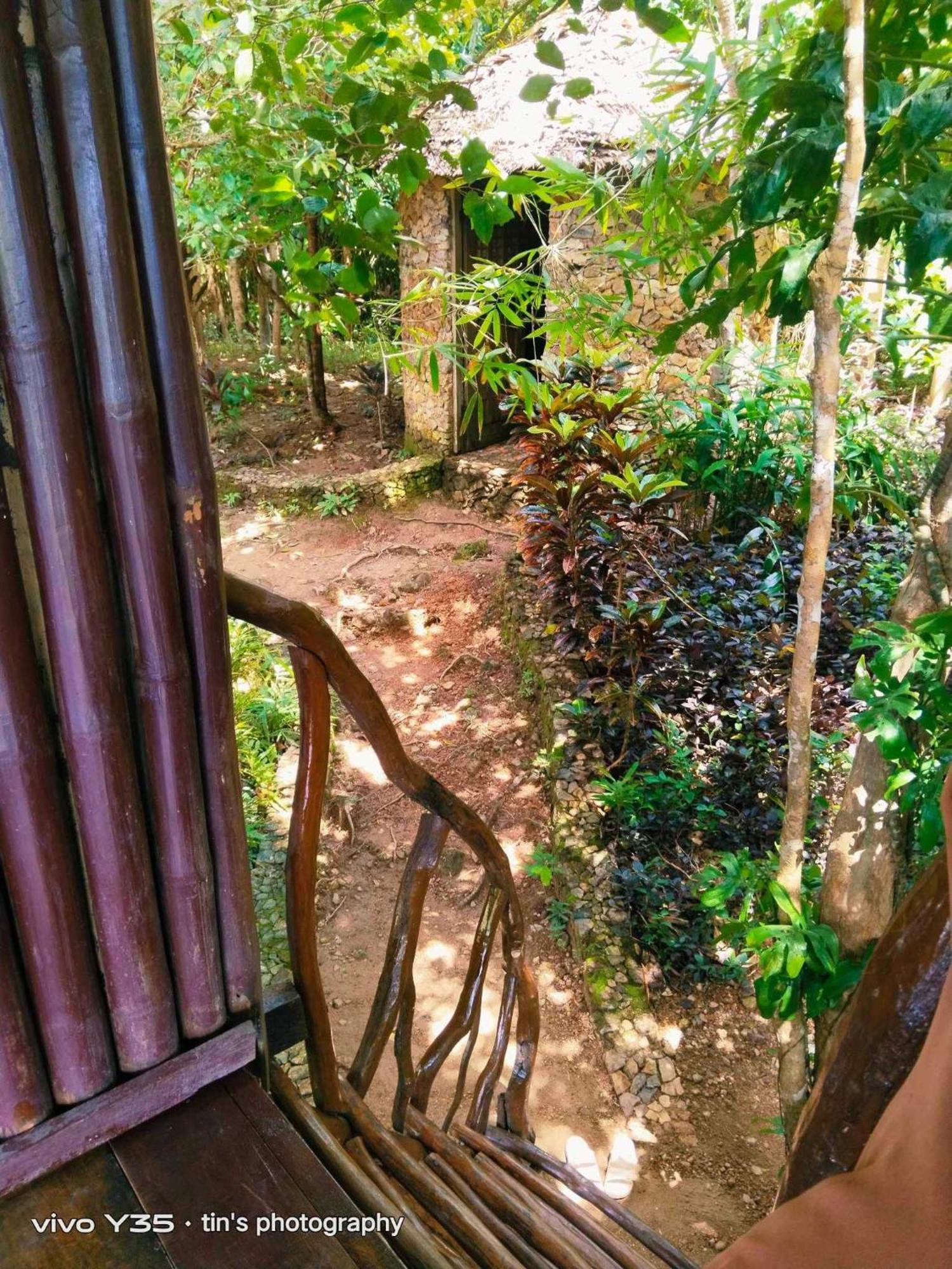 Sanctuaria Treehouses 布桑加 外观 照片