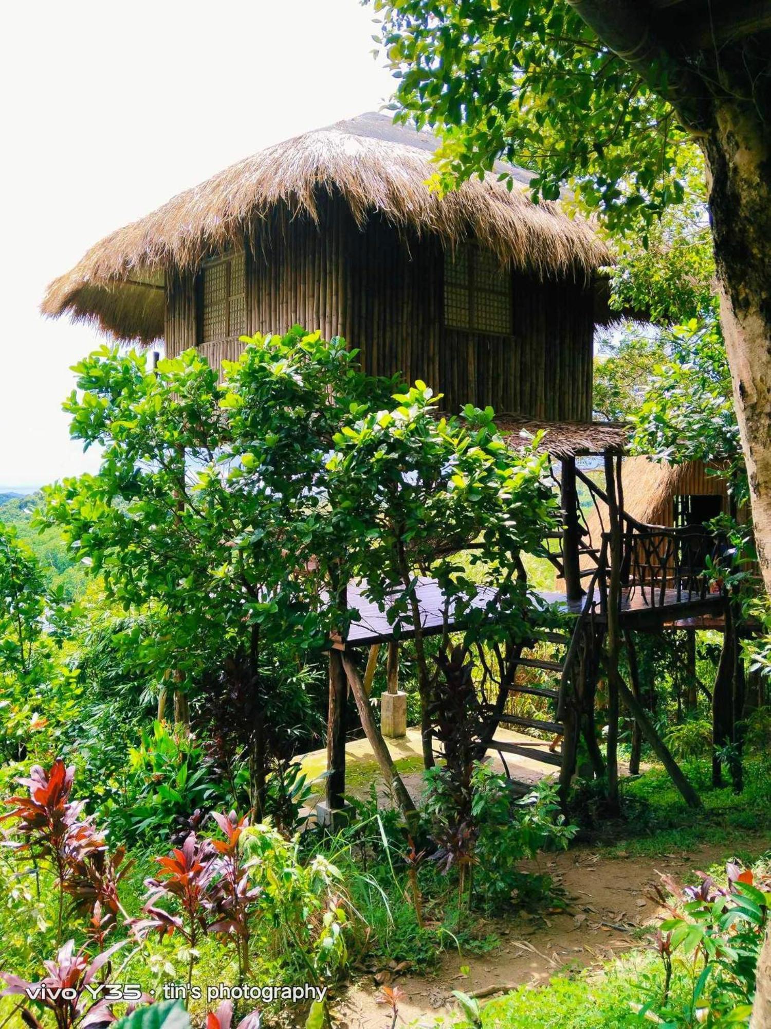 Sanctuaria Treehouses 布桑加 外观 照片