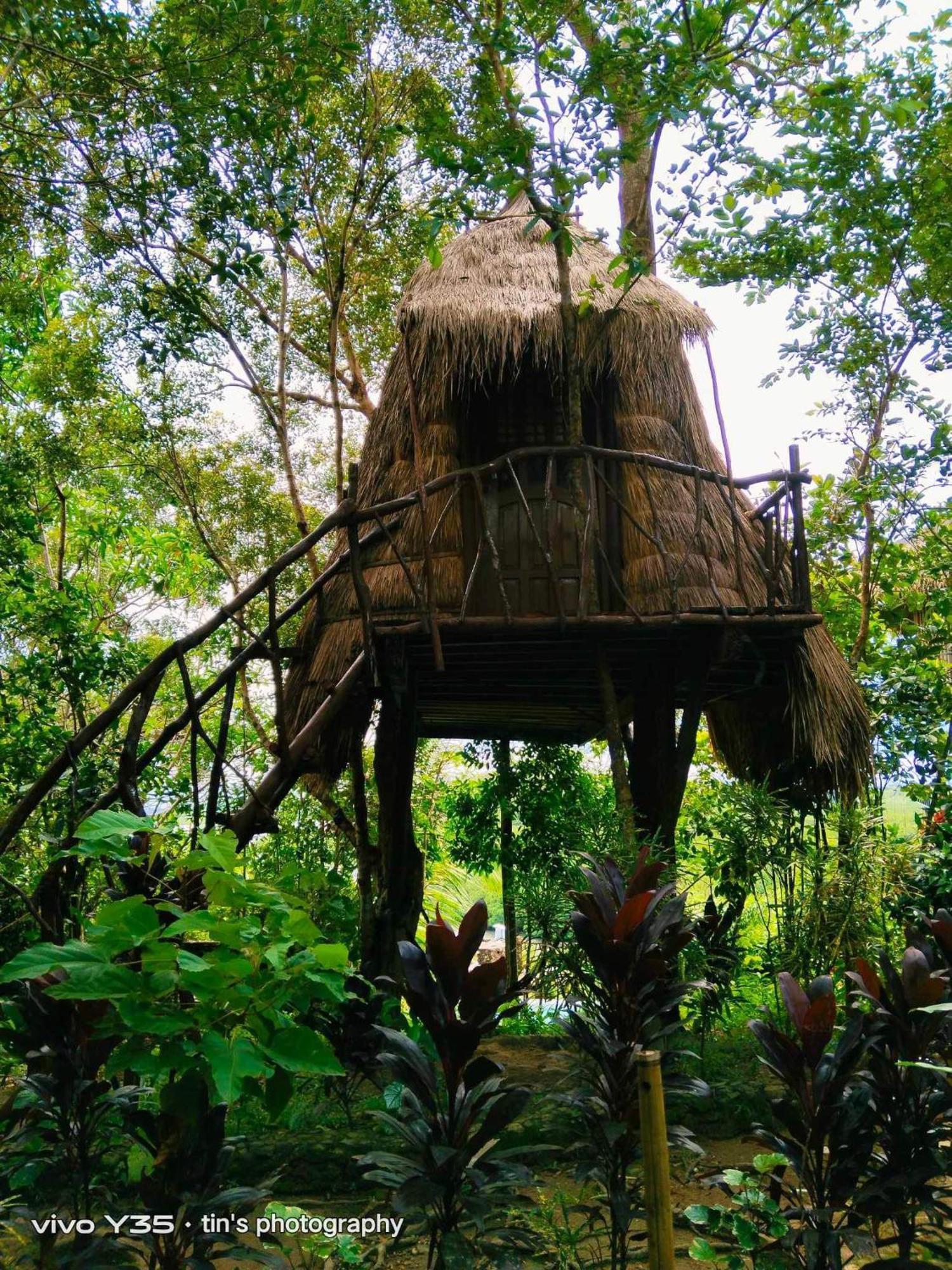Sanctuaria Treehouses 布桑加 外观 照片