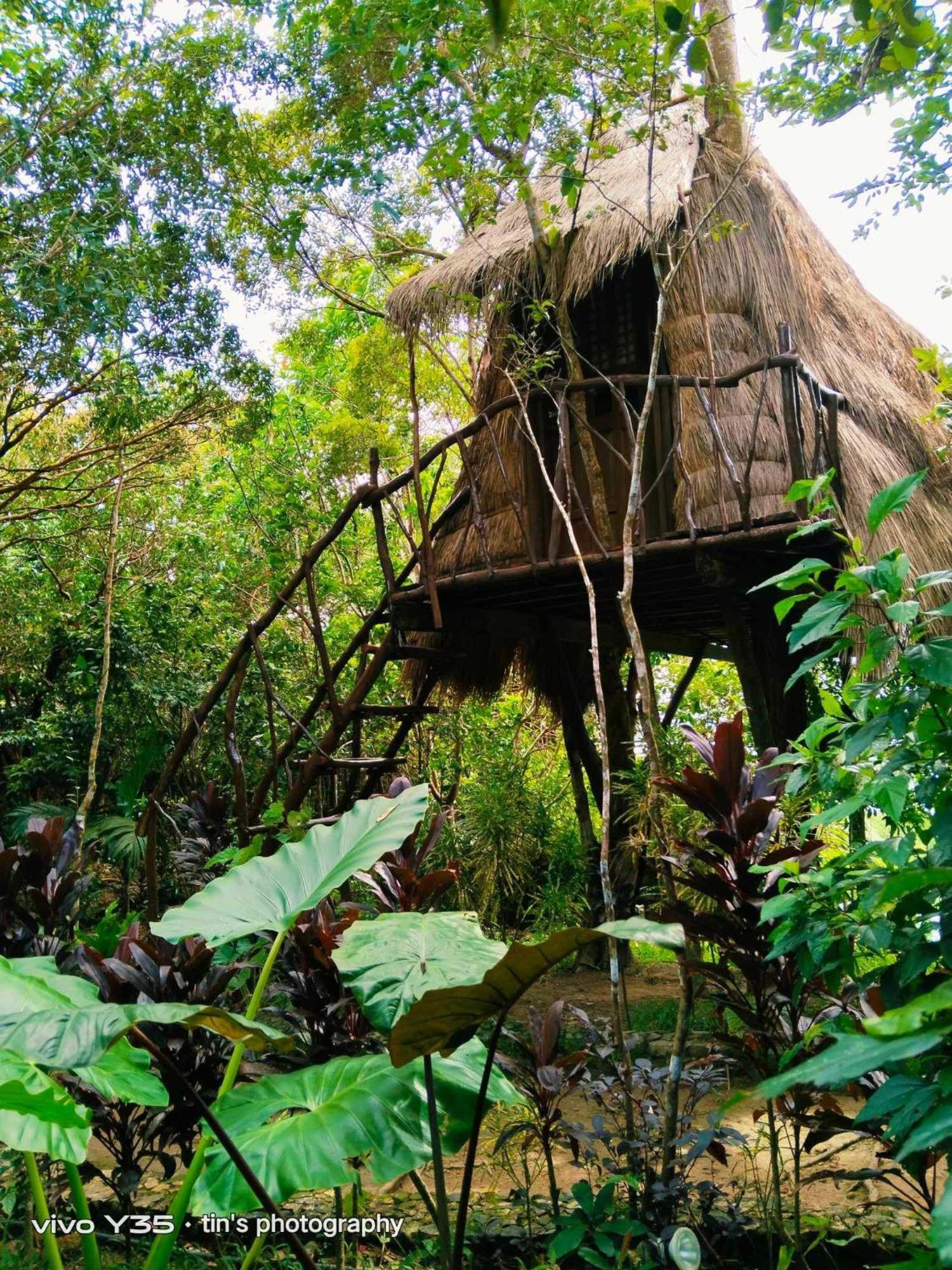 Sanctuaria Treehouses 布桑加 外观 照片