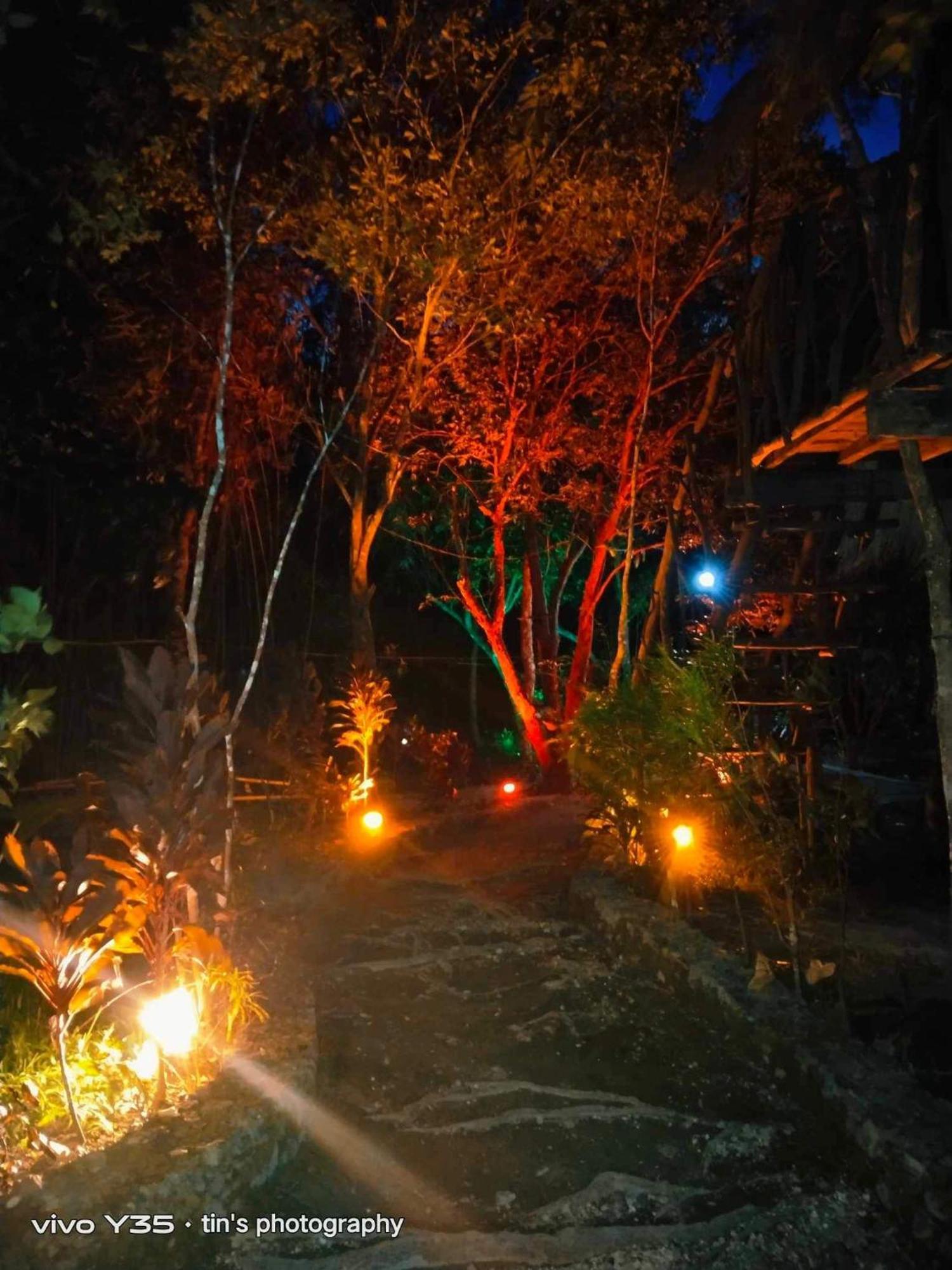 Sanctuaria Treehouses 布桑加 外观 照片