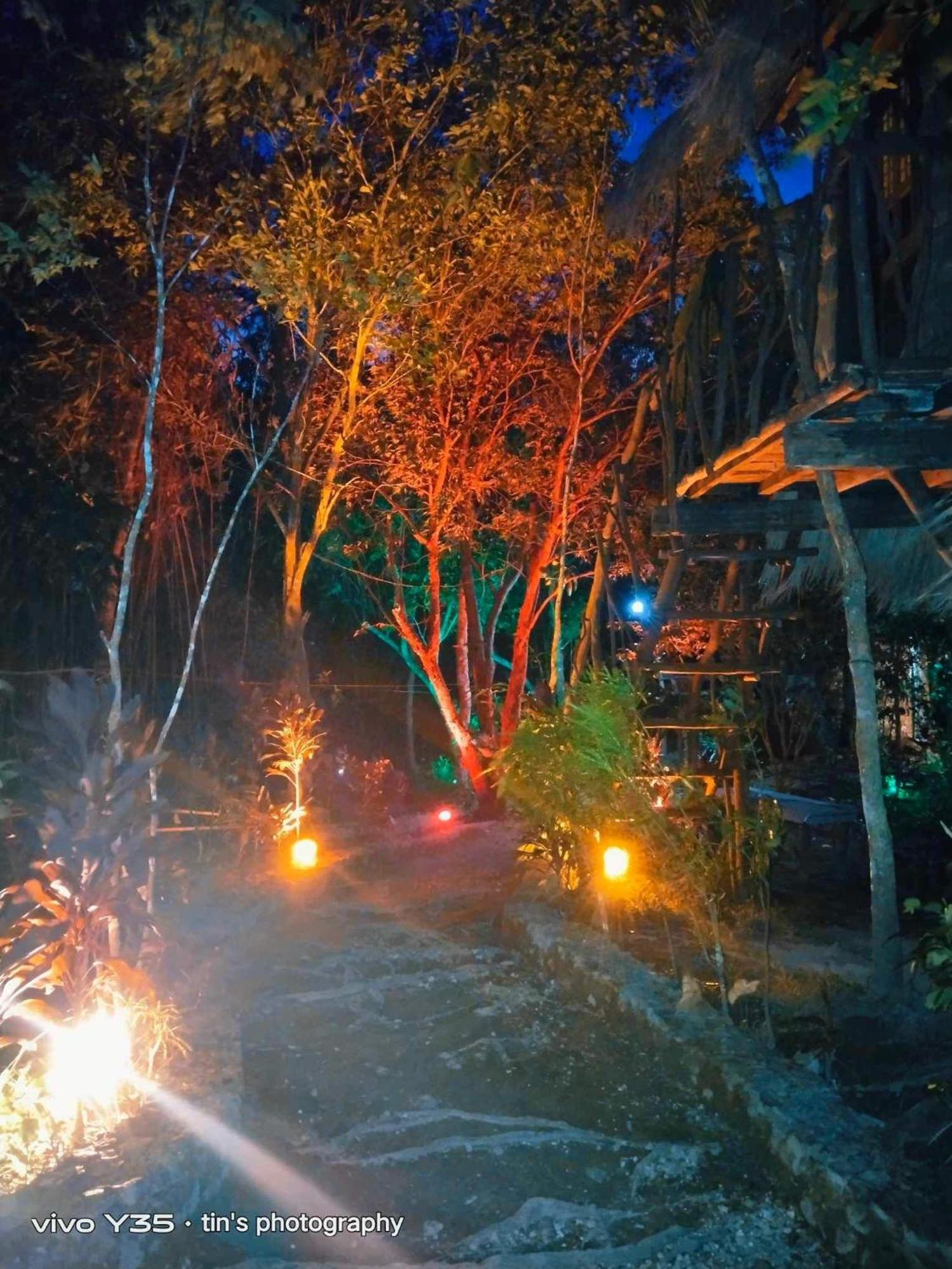 Sanctuaria Treehouses 布桑加 外观 照片
