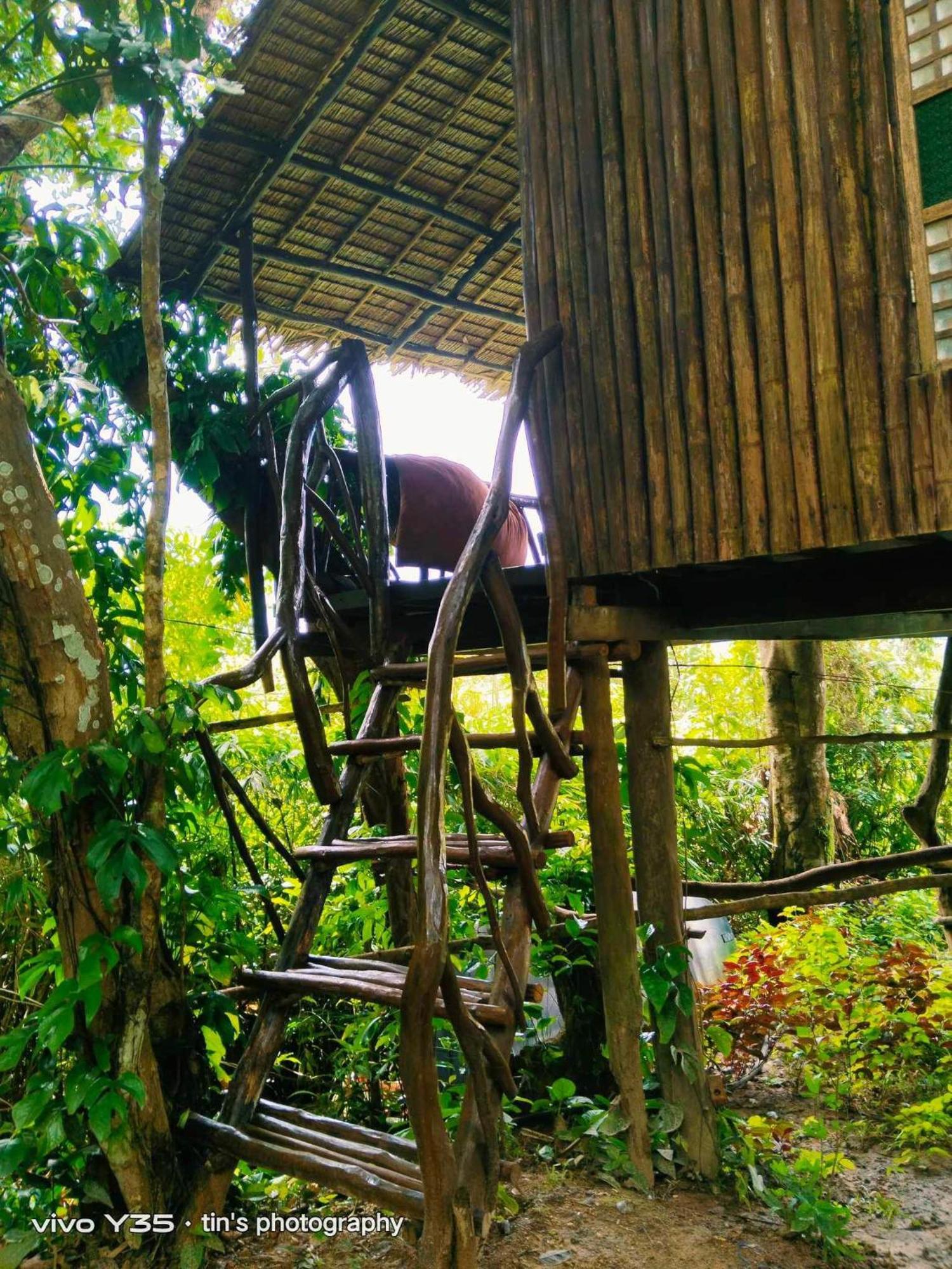 Sanctuaria Treehouses 布桑加 外观 照片