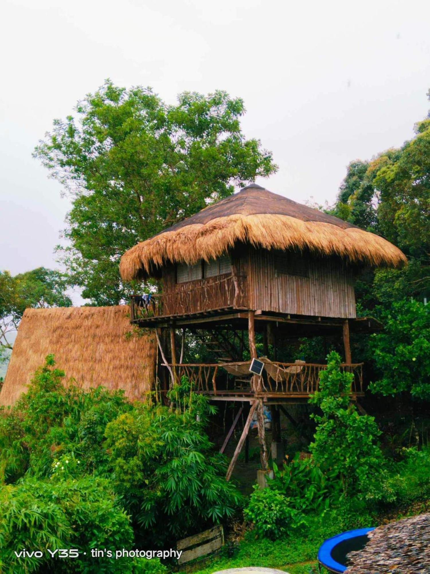 Sanctuaria Treehouses 布桑加 外观 照片