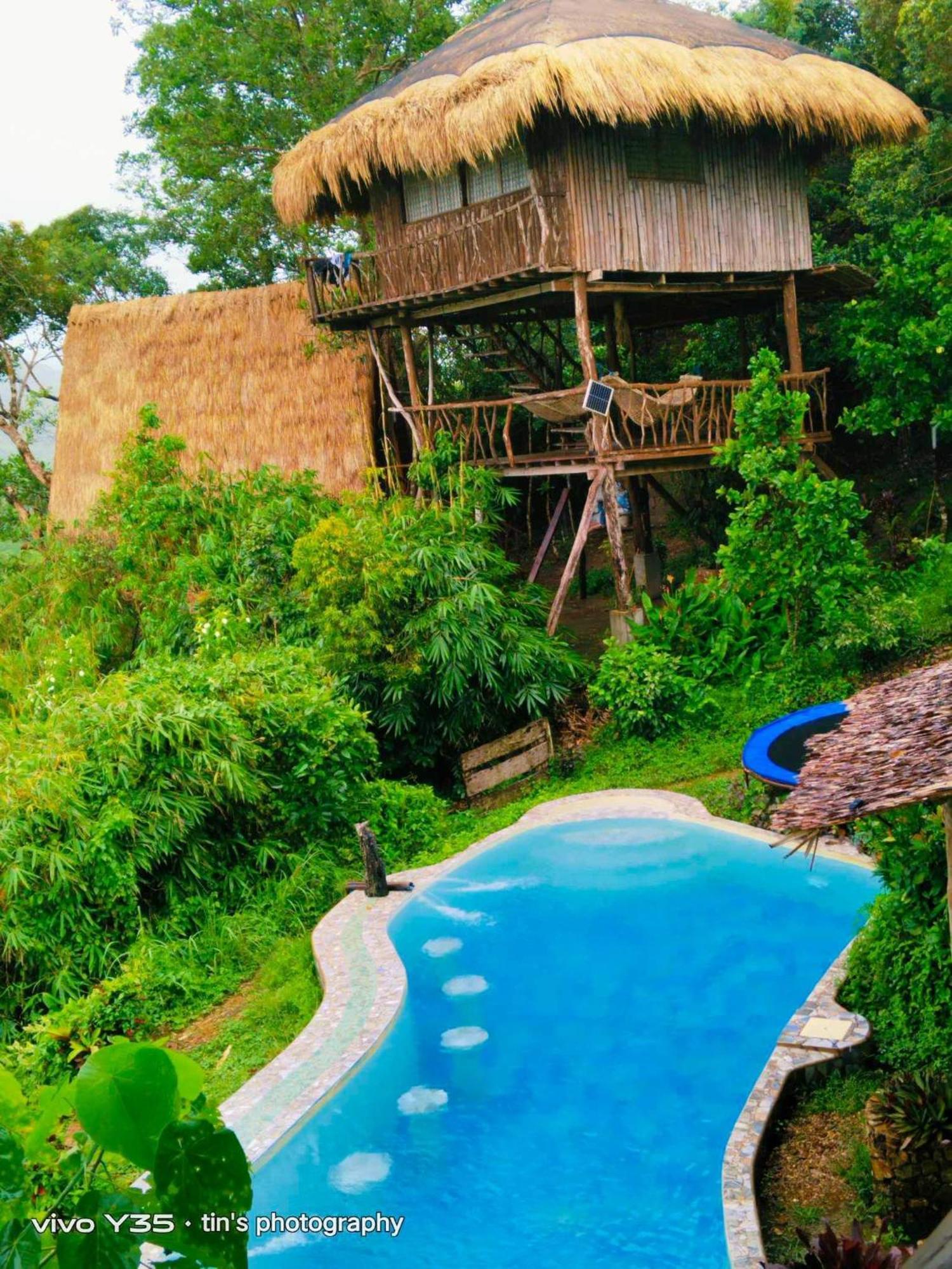 Sanctuaria Treehouses 布桑加 外观 照片