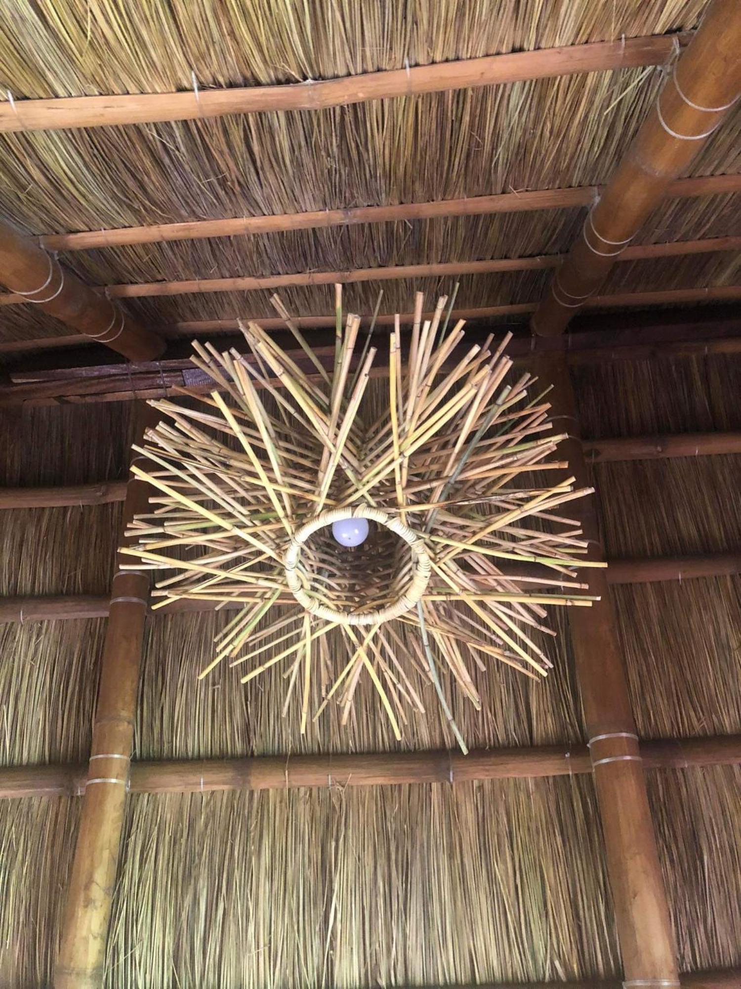 Sanctuaria Treehouses 布桑加 外观 照片