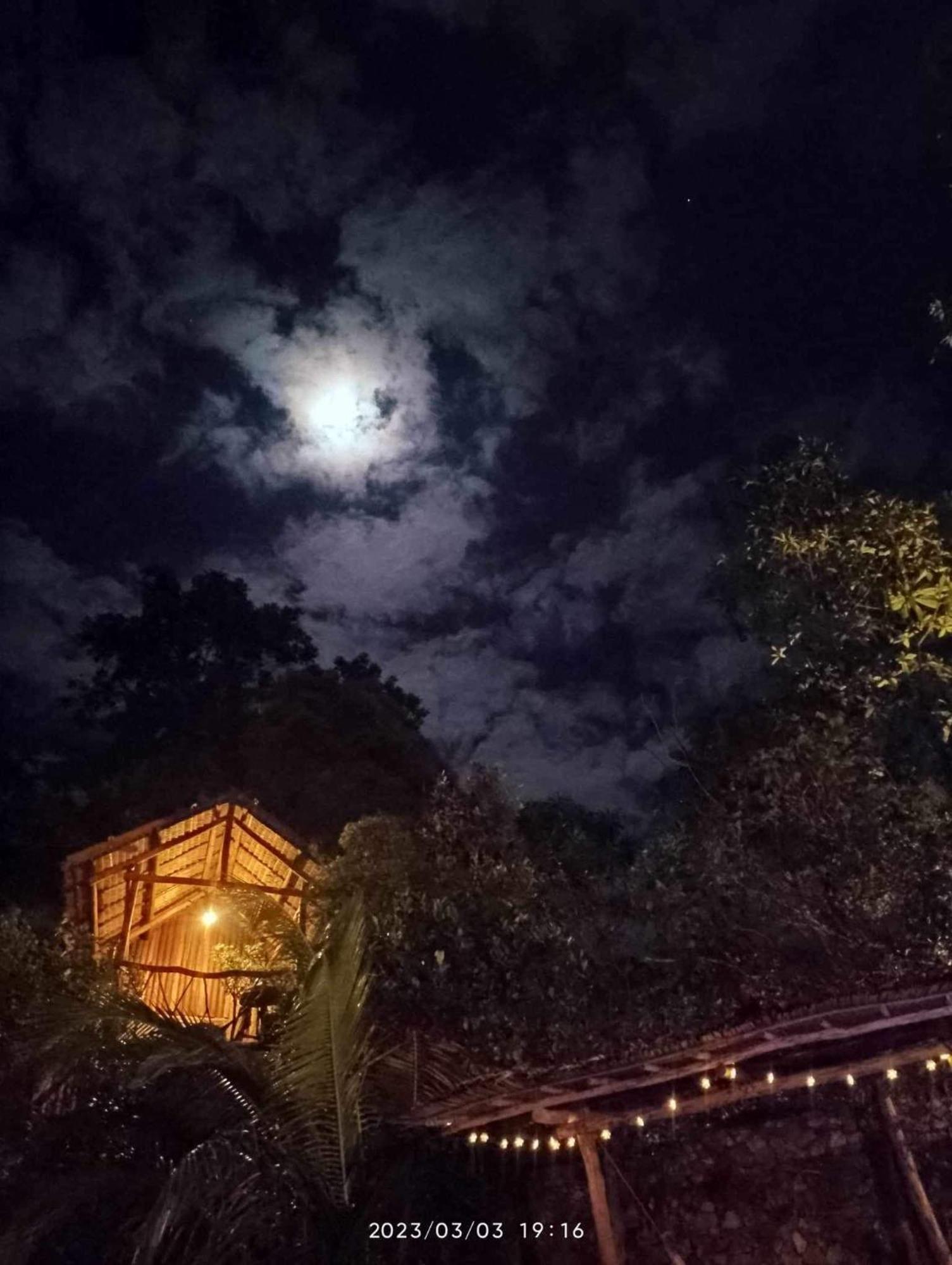 Sanctuaria Treehouses 布桑加 外观 照片