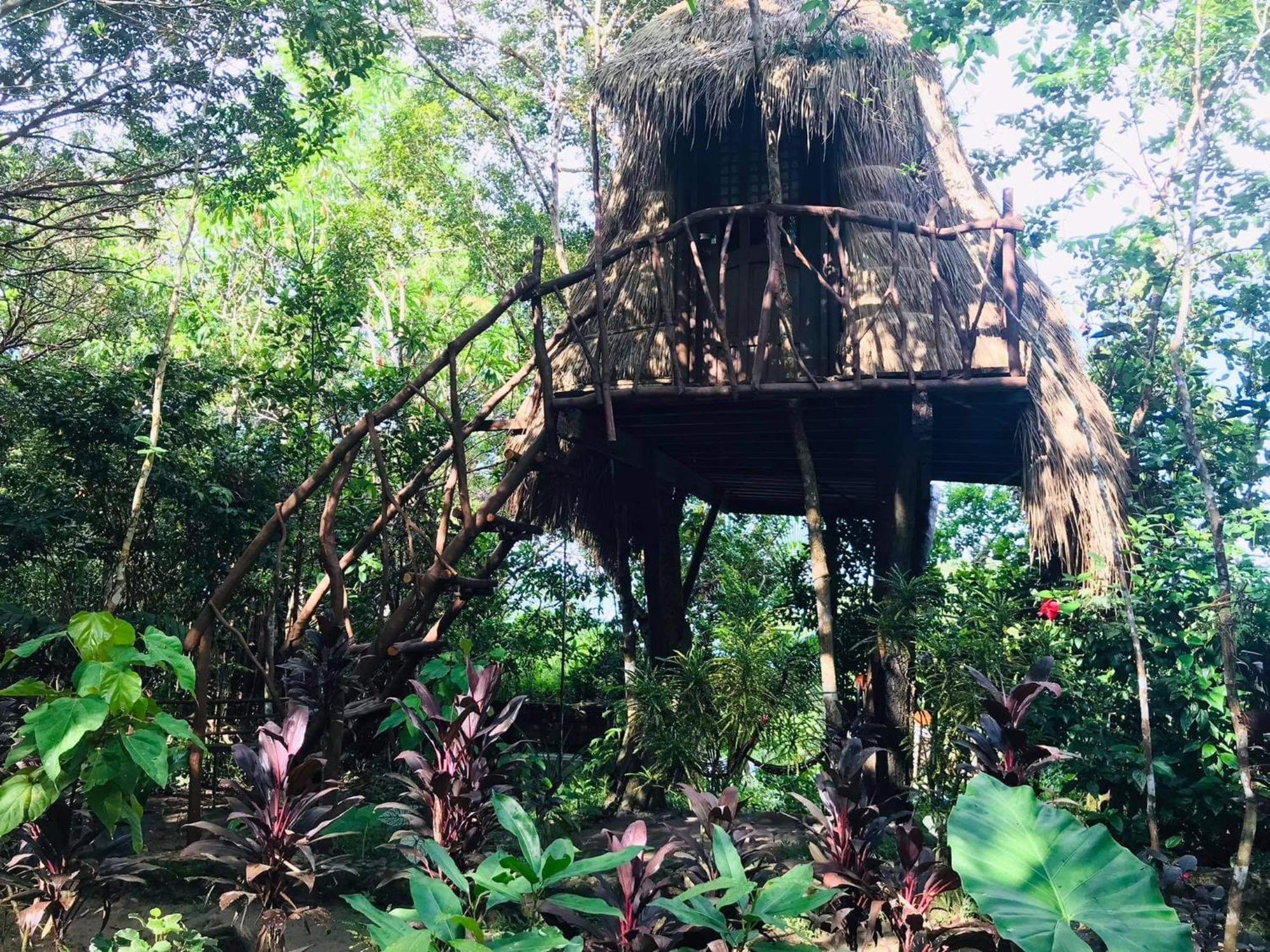 Sanctuaria Treehouses 布桑加 外观 照片