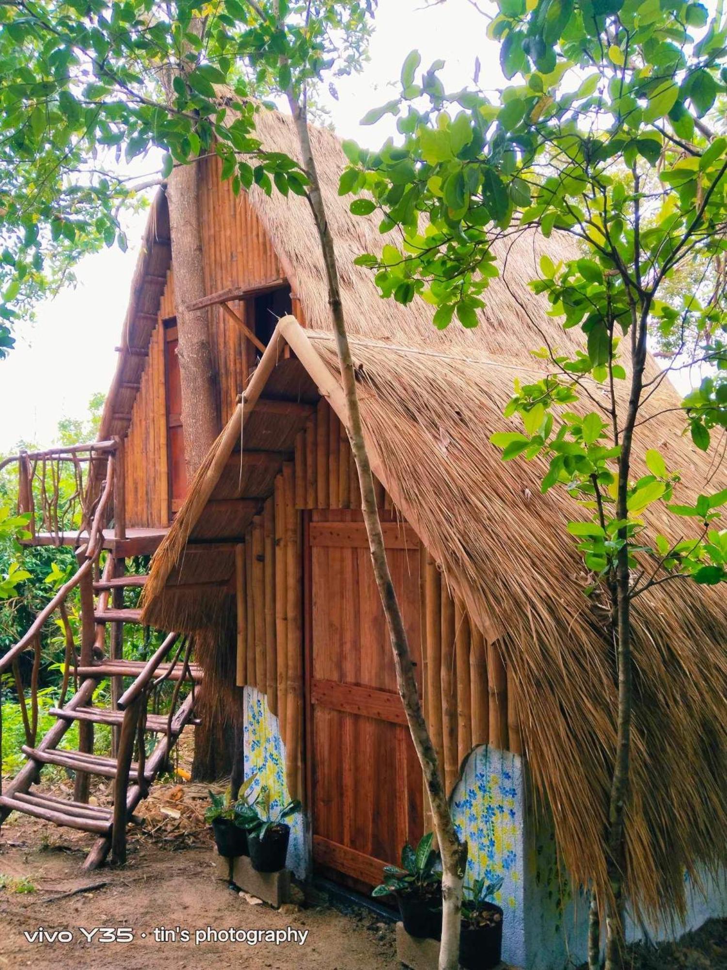 Sanctuaria Treehouses 布桑加 外观 照片