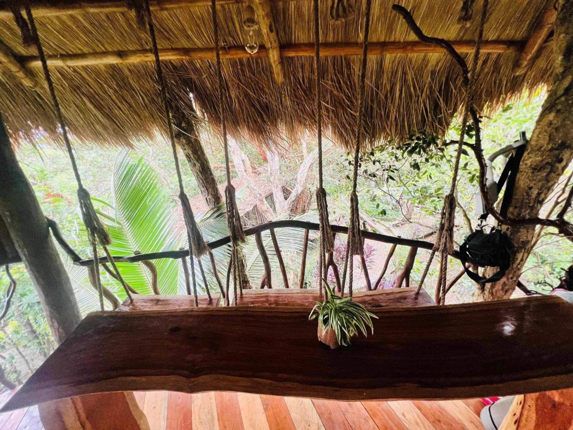 Sanctuaria Treehouses 布桑加 外观 照片