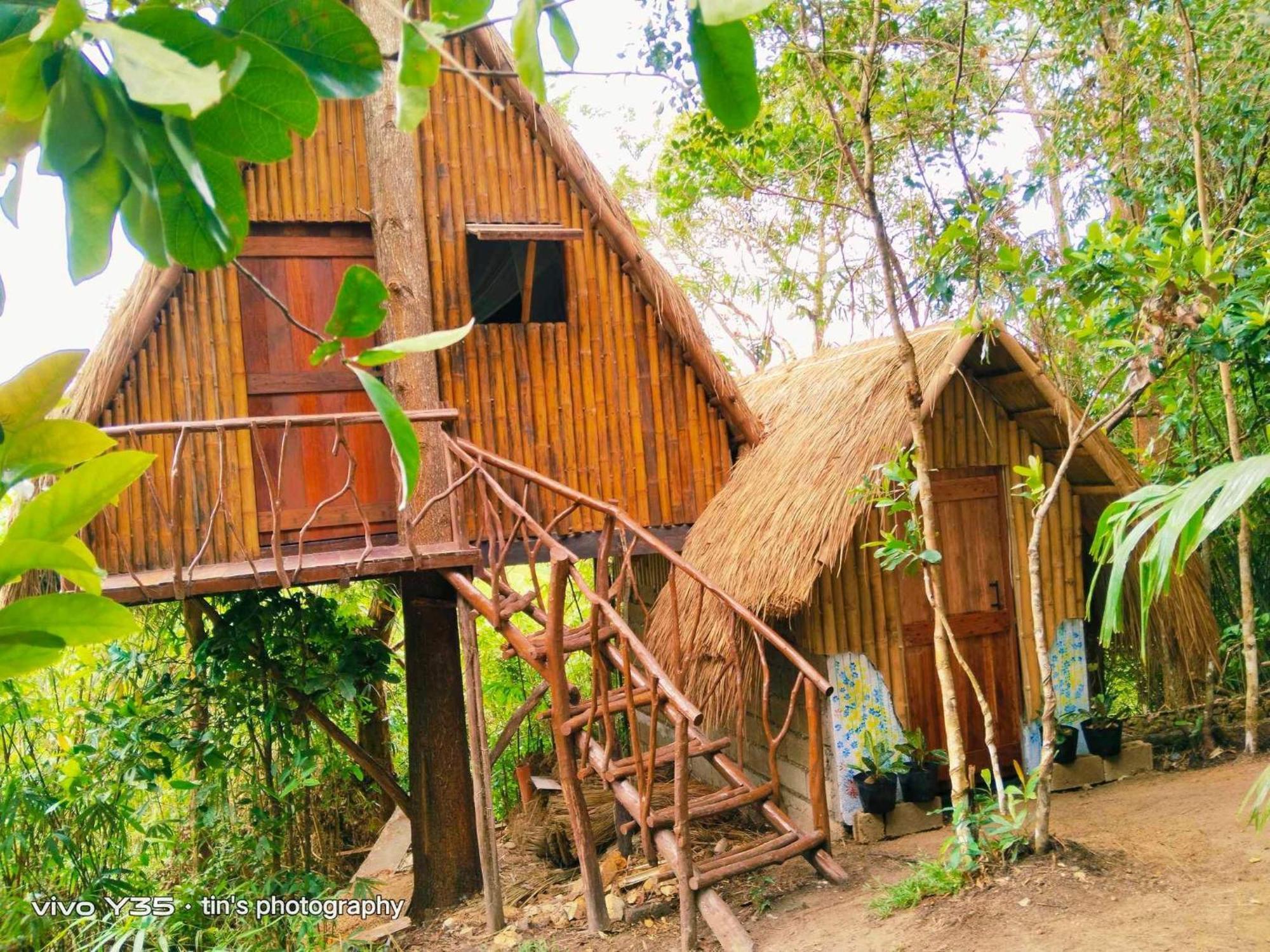 Sanctuaria Treehouses 布桑加 外观 照片